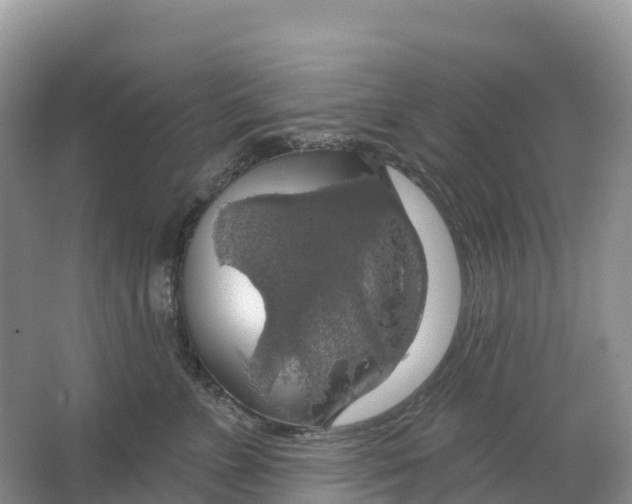 X0000064740715200602241757