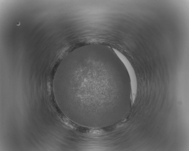 X0000064740716200602241757