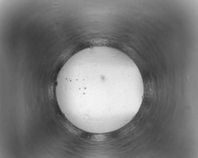 X0000064740717200602241757