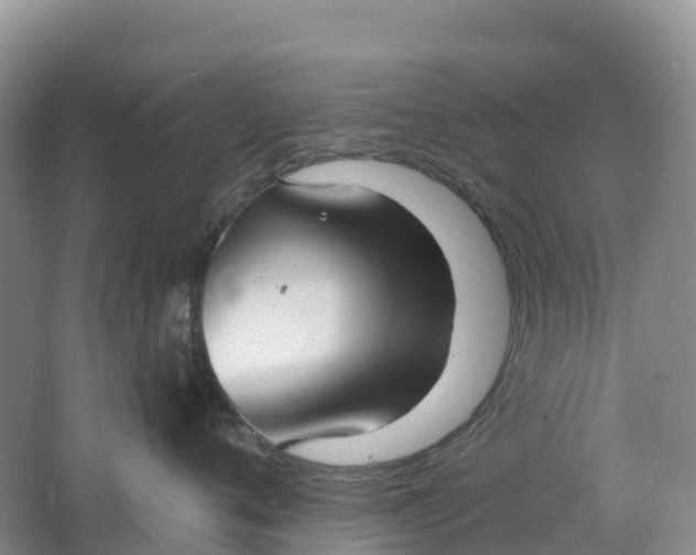 X0000064740720200602241757