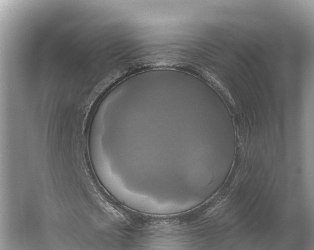 X0000064740721200602241756