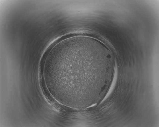 X0000064740724200602241756