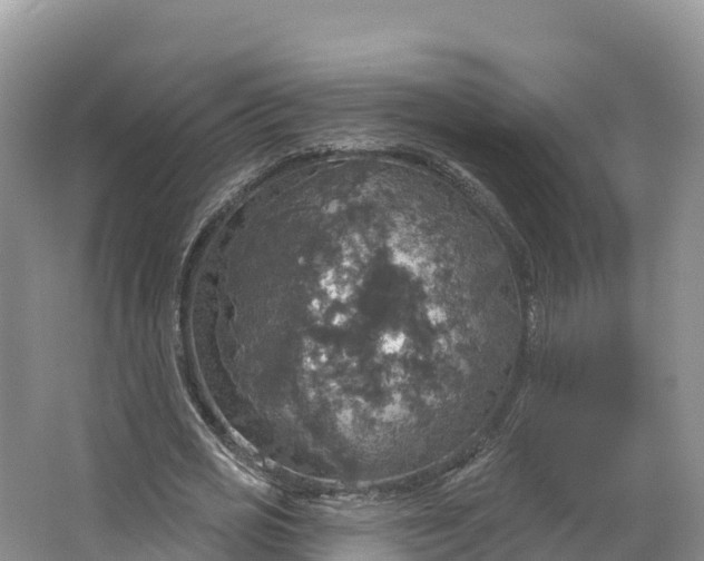 X0000064740725200602241756