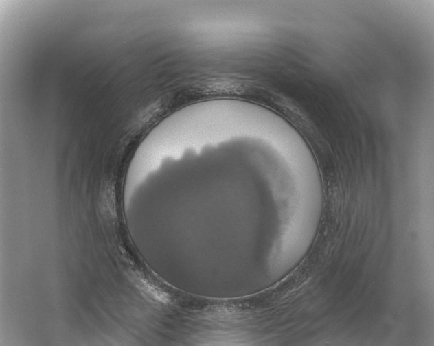 X0000064740729200602241756