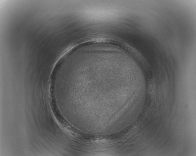 X0000064740730200602241756