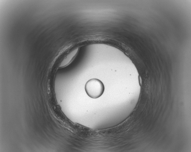 X0000064740731200602241756