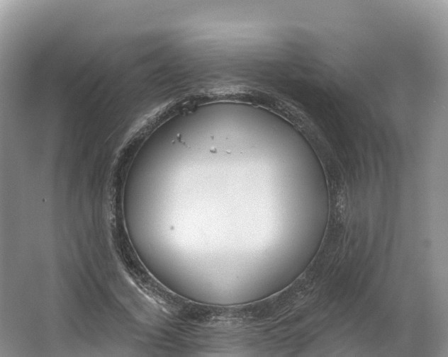 X0000064740732200602241756