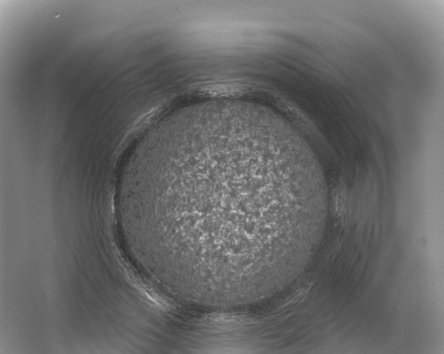 X0000064740733200602241756