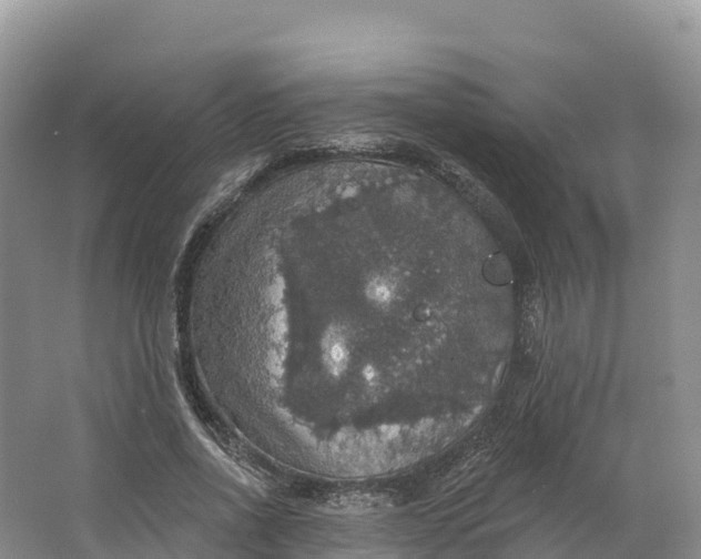 X0000064740734200602241756