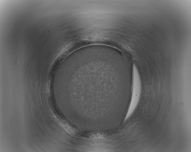 X0000064740735200602241756