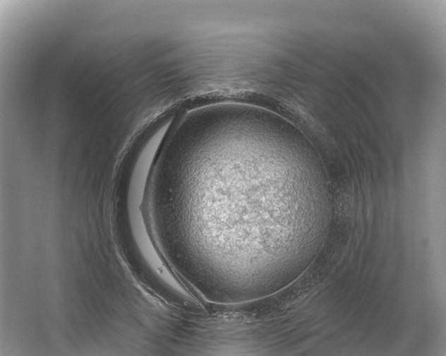 X0000064740736200602241756