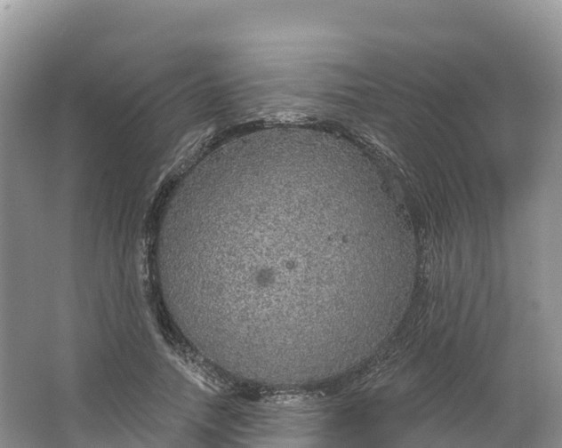 X0000064740738200602241756