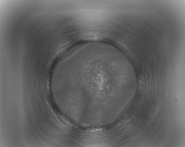 X0000064740739200602241756