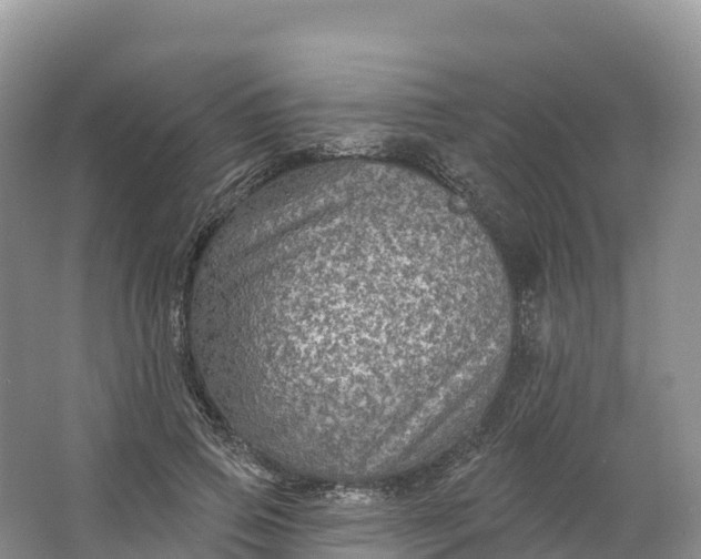 X0000064740741200602241756