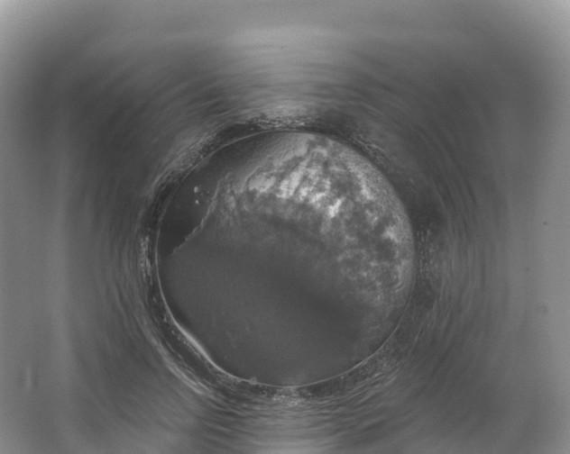 X0000064740742200602241756