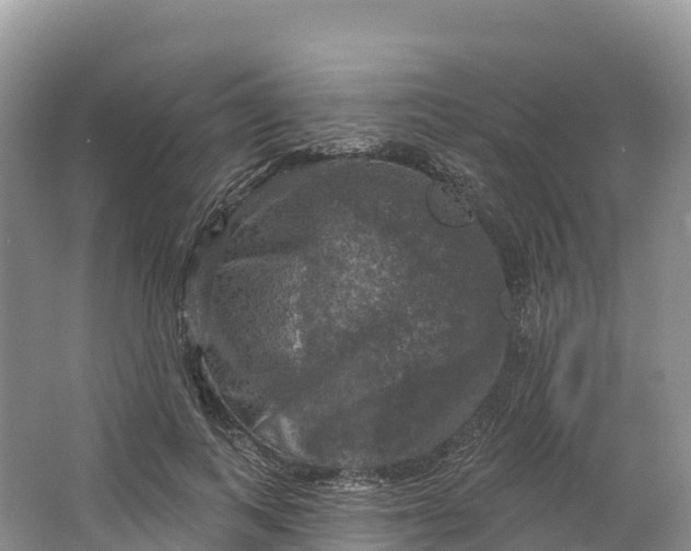 X0000064740743200602241756