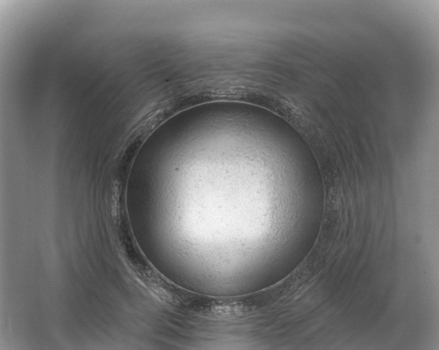 X0000064740744200602241756