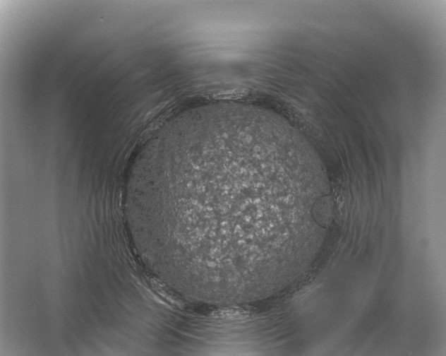 X0000064740745200602241756