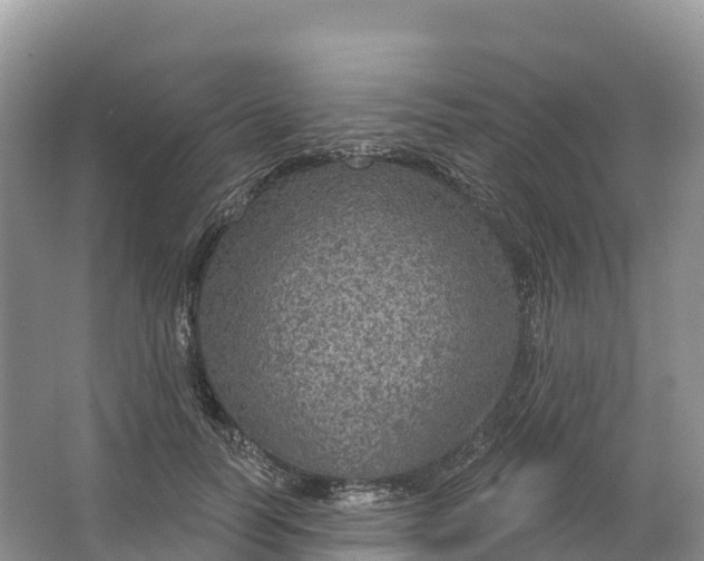 X0000064740746200602241756