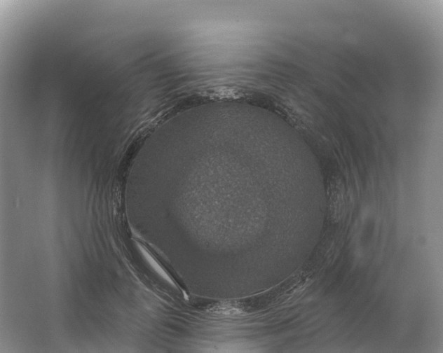 X0000064740747200602241756