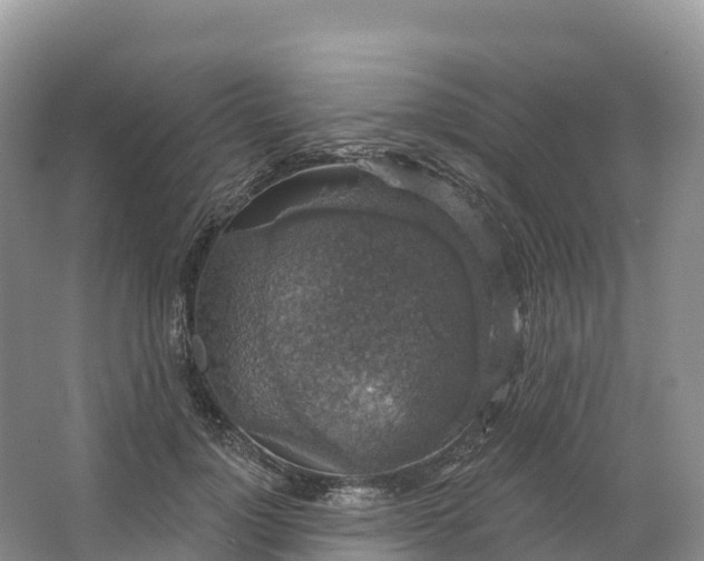 X0000064740748200602241756