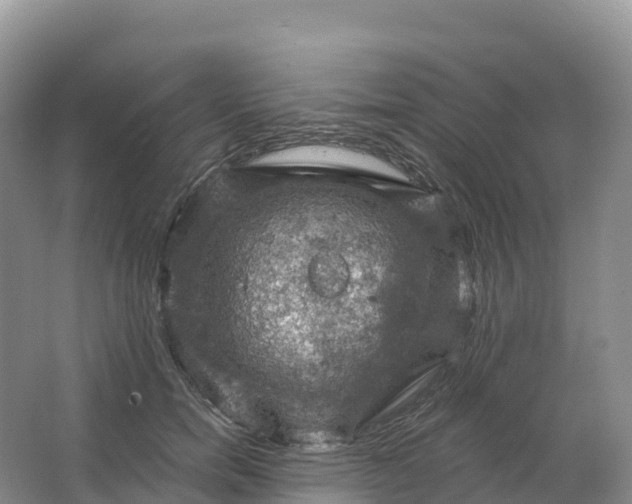 X0000064740750200602241756