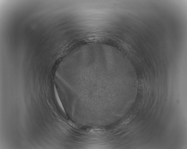 X0000064740751200602241756