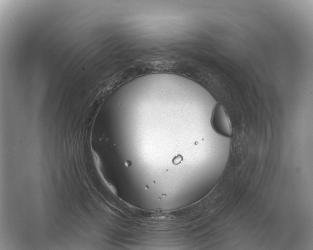 X0000064740752200602241756