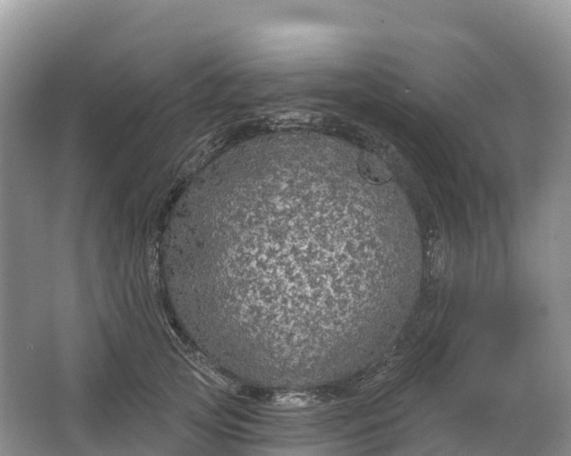 X0000064740753200602241756