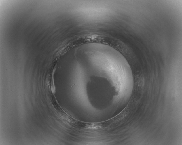 X0000064740754200602241756