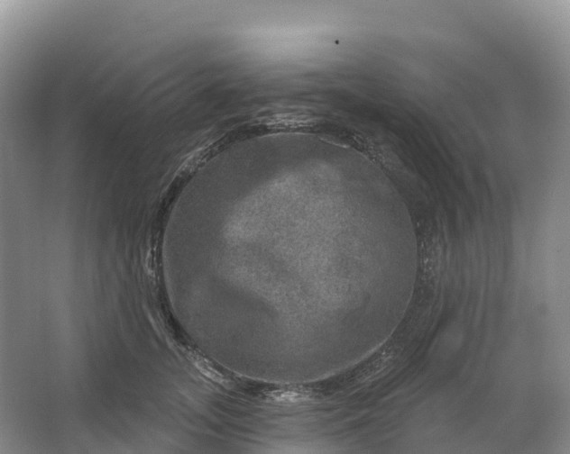 X0000064740755200602241756