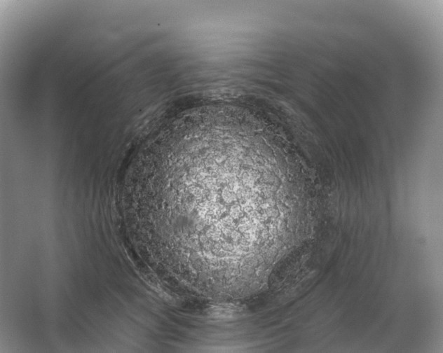 X0000064740757200602241757