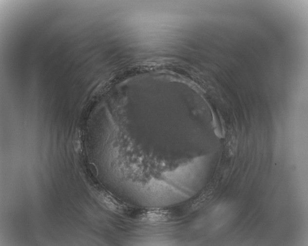 X0000064740758200602241757