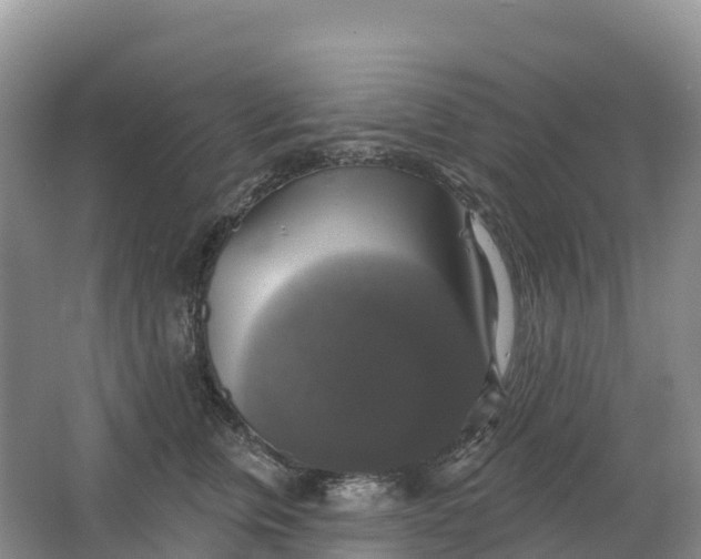 X0000064740759200602241757