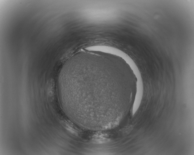 X0000064740760200602241757