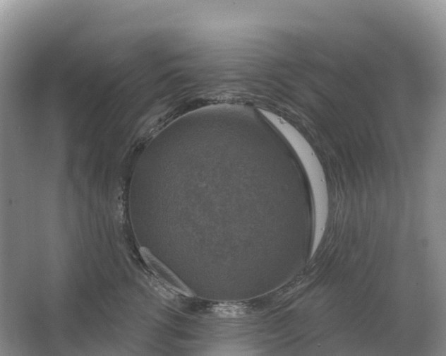 X0000064740762200602241757