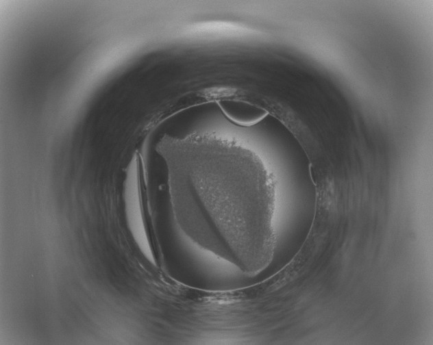 X0000064740763200602241757