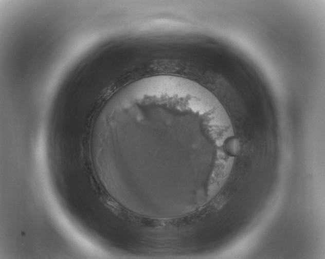 X0000064740765200602241757