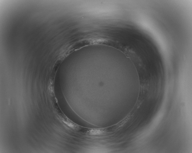 X0000064740766200602241757