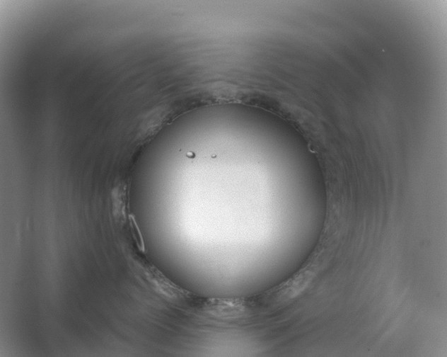 X0000064740768200602241757