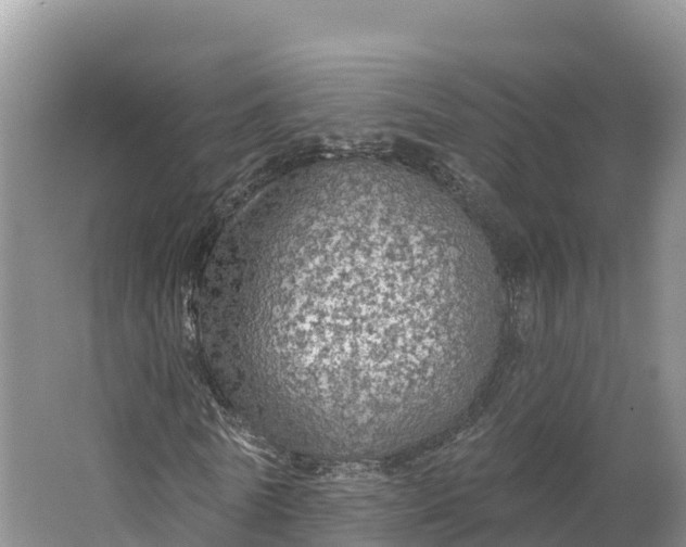 X0000064740770200602241756