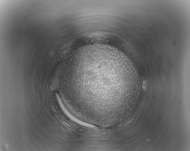 X0000064740771200602241756