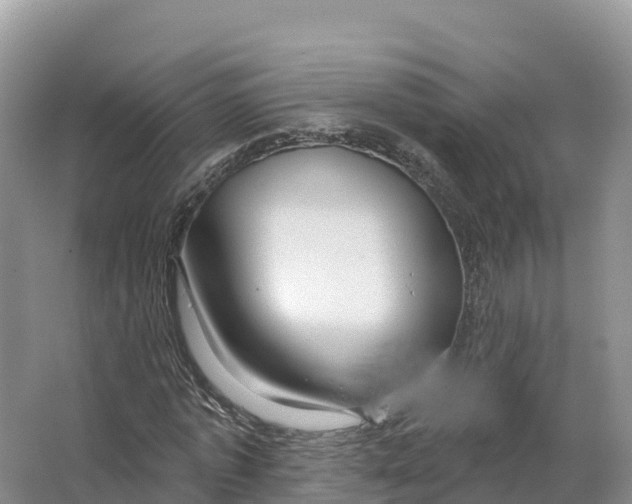 X0000064740773200602241756