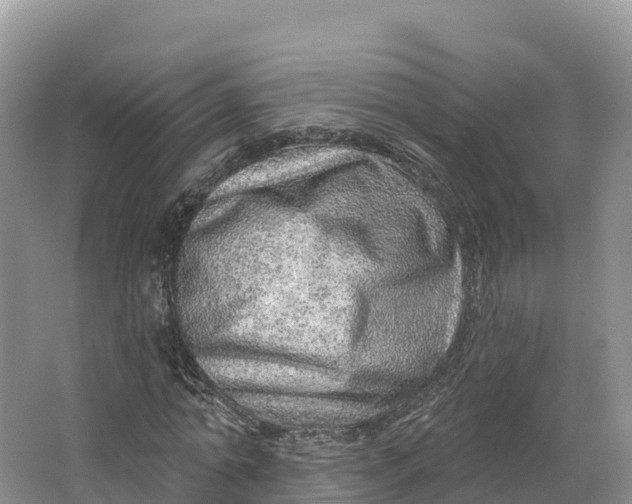 X0000064740774200602241755