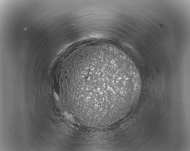 X0000064740776200602241755