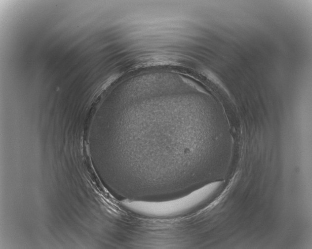 X0000064740777200602241755