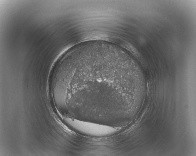 X0000064740780200602241755