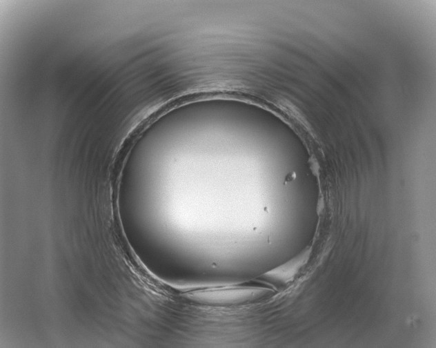 X0000064740781200602241755