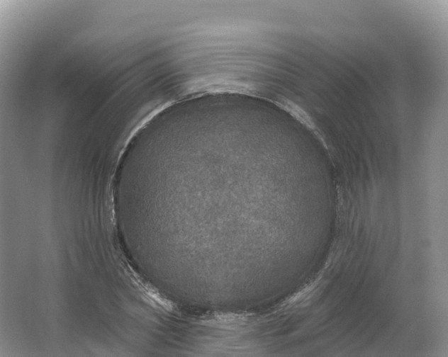 X0000064740782200602241755