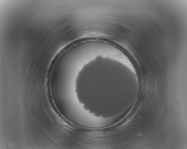 X0000064740783200602241755